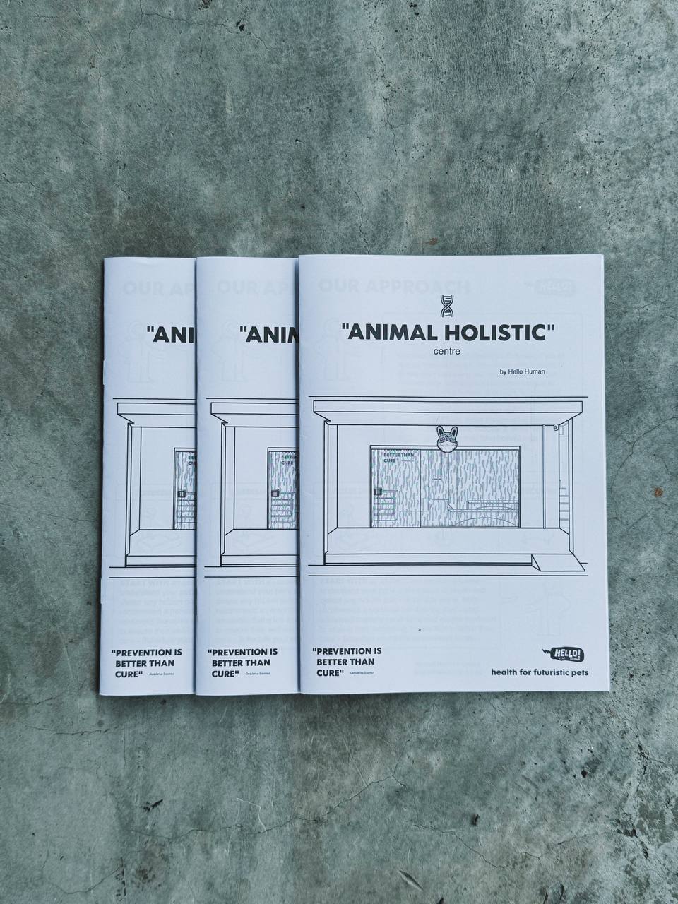 Hello Human Animal Holistic Centre brochure