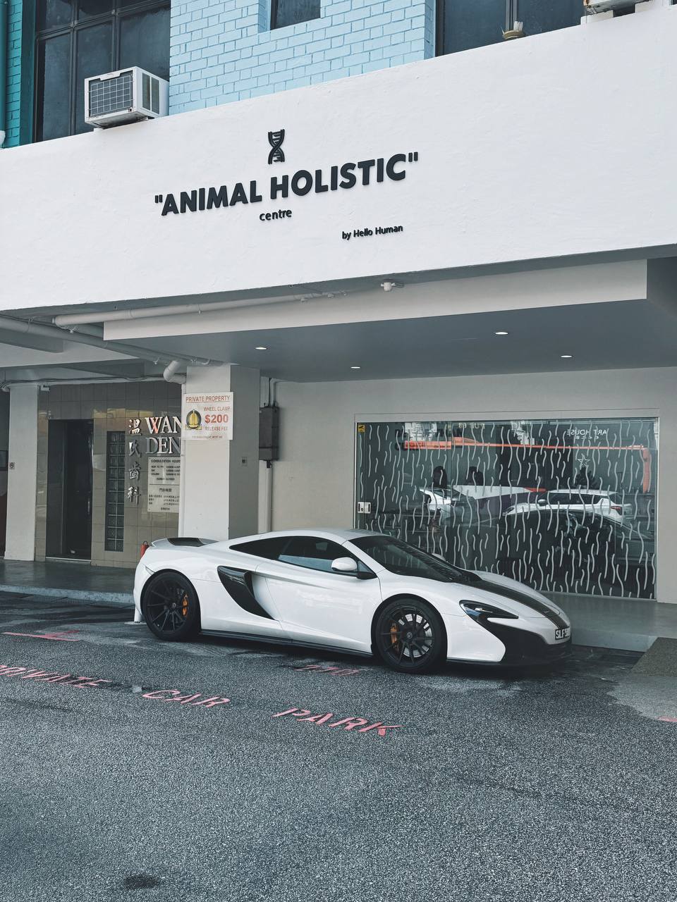 Hello Human Animal Holistic Centre frontage in Singapore