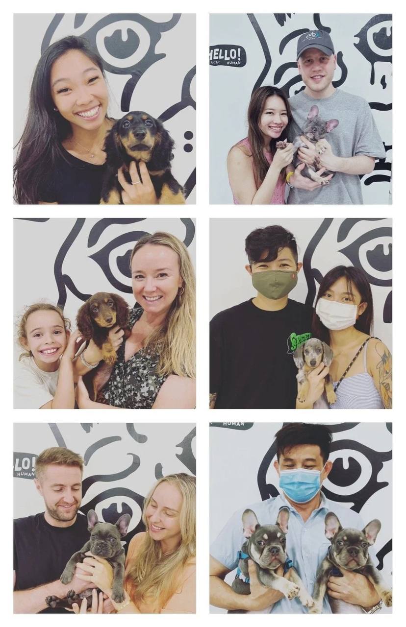 Hello Human customers and companions collage