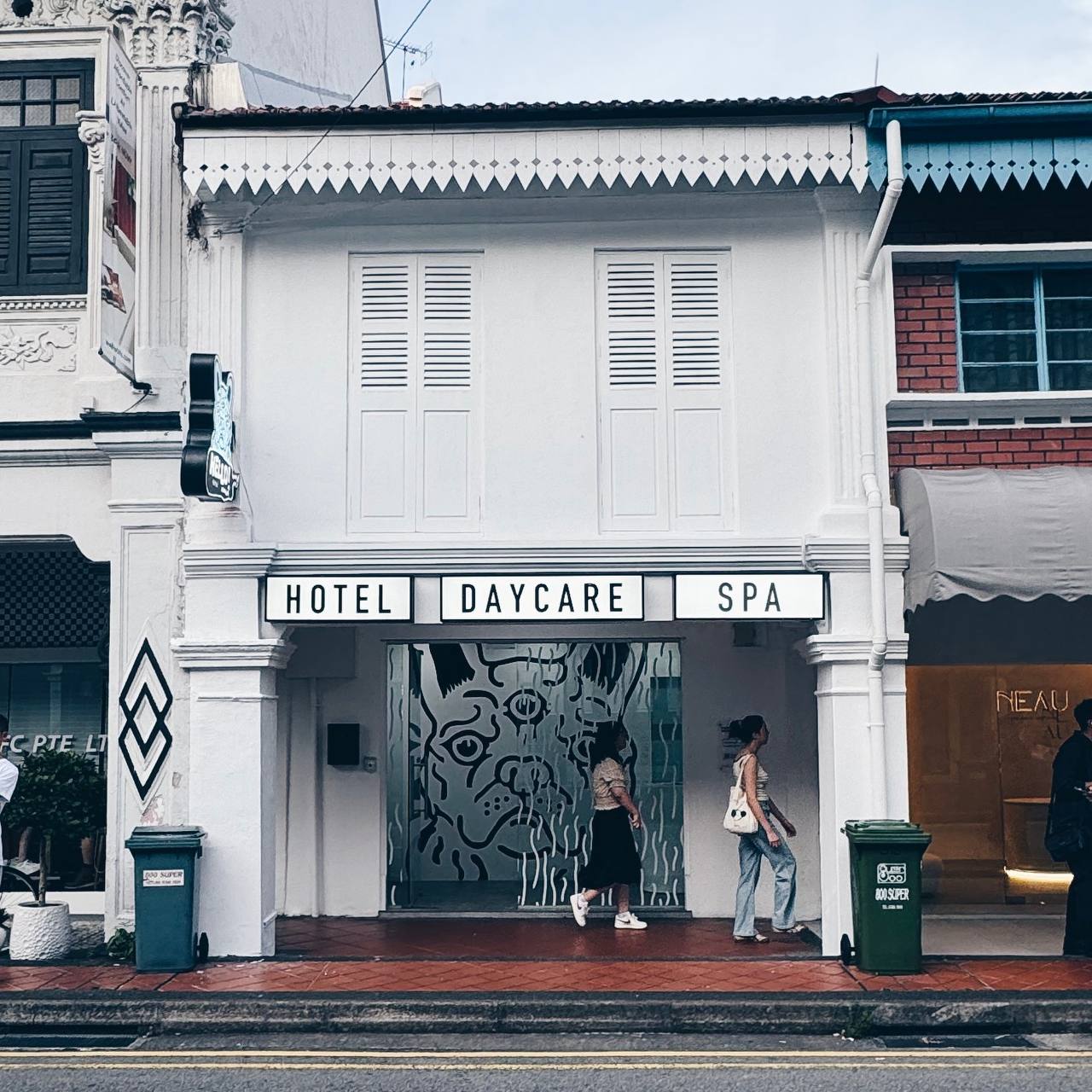 Hello Human premium pet brand environment in Singapore