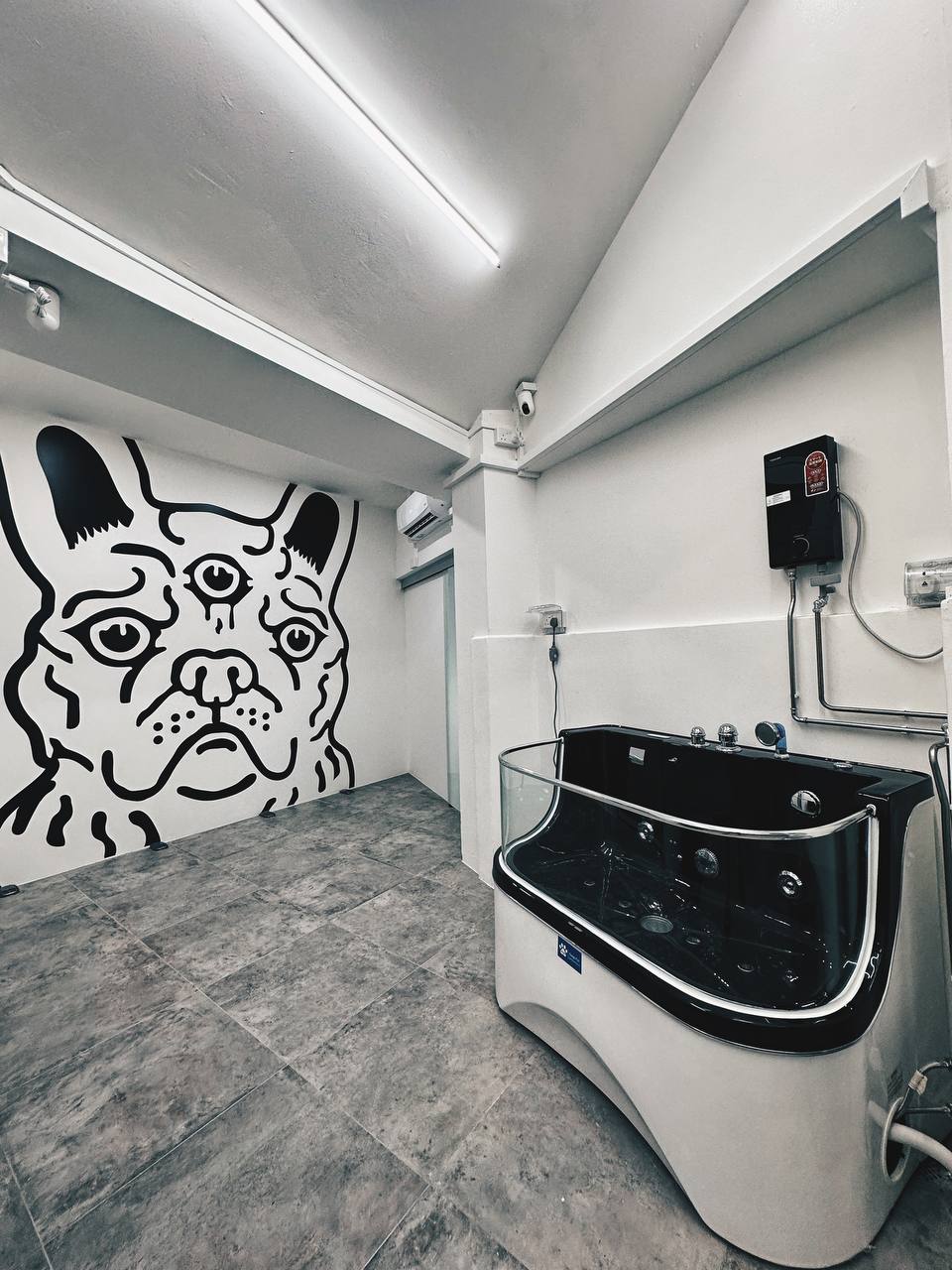 Hello Human premium bath and grooming environment in Singapore