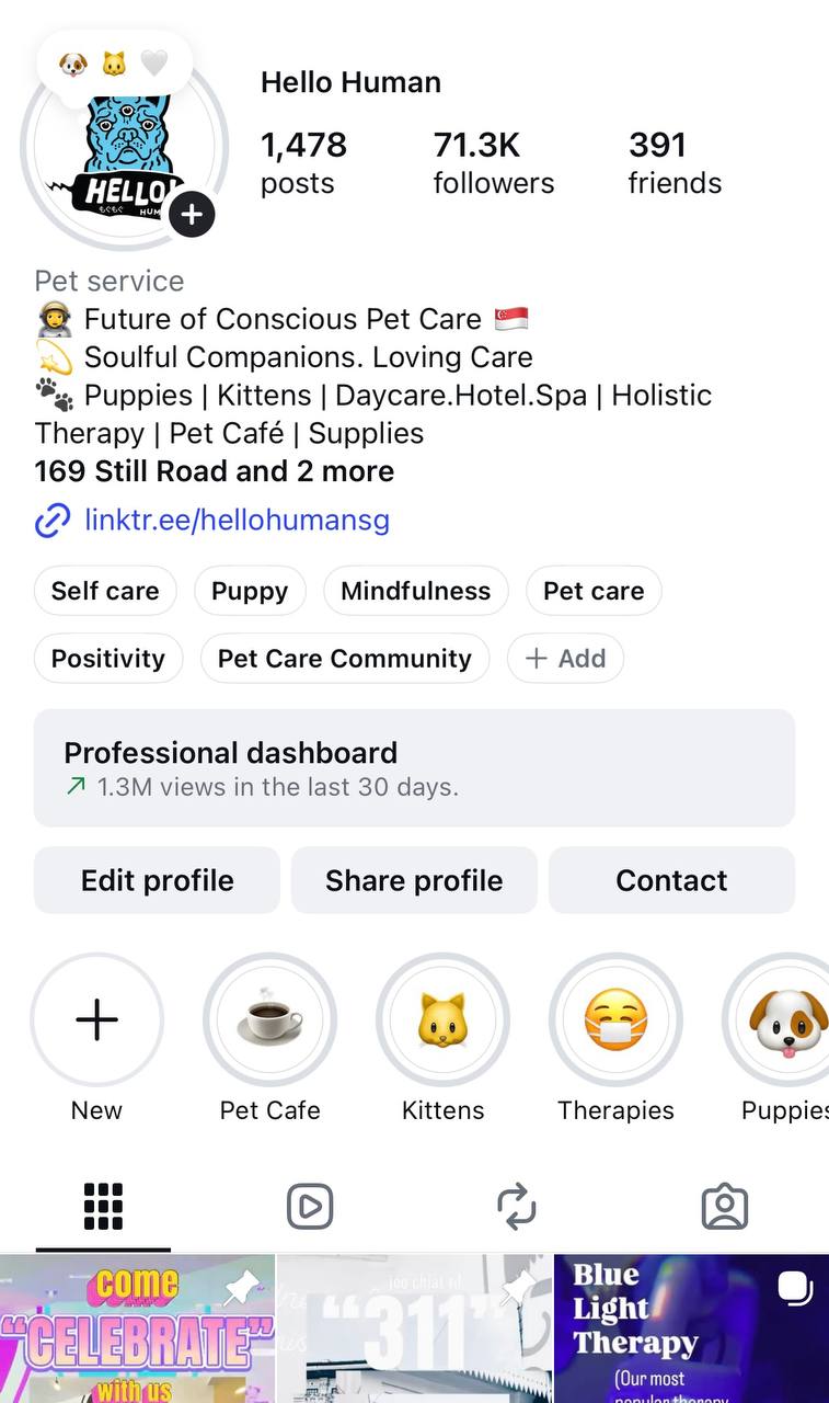 Hello Human Instagram audience and community proof